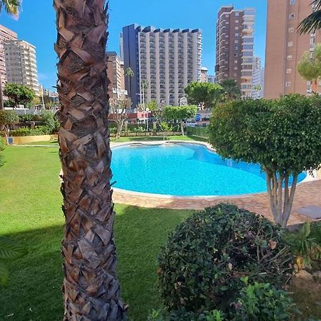 Adelfas - Fincas Arena Benidorm Extérieur photo