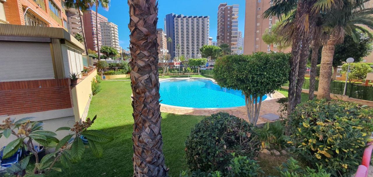 Adelfas - Fincas Arena Benidorm Extérieur photo