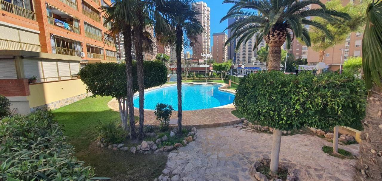 Adelfas - Fincas Arena Benidorm Extérieur photo